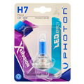 Xen Vision Halogen Blister